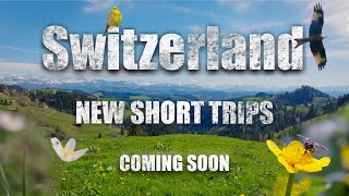 Switzerland short cinematic Trips Natur Wildlife 4k FX3 DJI Mavic 3 Pro coming soon [upl. by Airotnes]