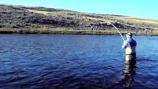 Taimen fishing in Mongolia 2014 [upl. by Enyrhtac]