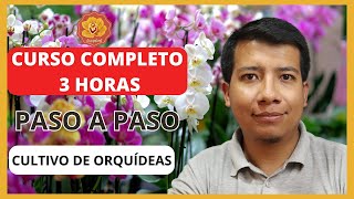 Curso Gratis de Cultivo de Orquídeas  Cómo Cultivar Orquídeas Fácil Siendo Principiante 2023 [upl. by Blain]