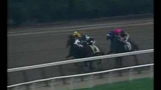 Fusaichi Pegasus  Jerome Handicap Gr2 [upl. by Yllib]