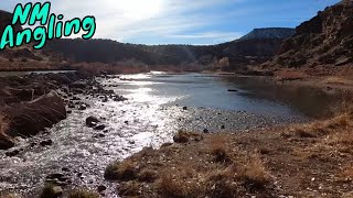 FISHING the RIO CHAMA below ABIQUIU DAM [upl. by Eipper857]