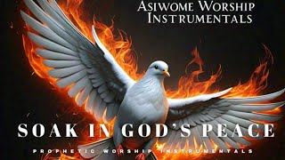 Warfare Intercession Instrumental Soak in God’s Peace [upl. by Gates]