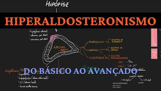 Hiperaldosteronismo  do básico ao avançado [upl. by Gun]