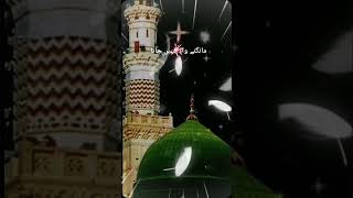 Bhar do jholi meri tajedar Madina lot kr mai nabeautifullslamic islamic videoviralshort [upl. by Letrice452]