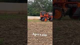 Agro e pop é top [upl. by Haakon]