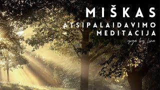 Atsipalaidavimo meditacija Miškas  13min  Yoga By Lina [upl. by Akenet211]