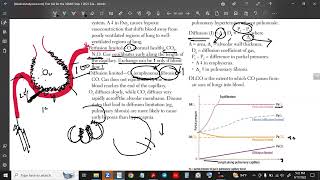 Diffusion and Perfusion limited gas exchange [upl. by Ocicnarf]