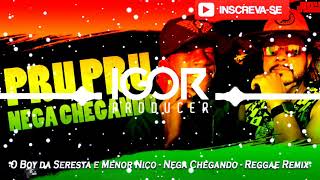 PRU PRU NEGA CHEGANDO  MENOR NICO amp O BOY DA SERESTA Reggae Remix [upl. by Aerdnna]