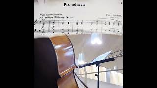 Pax vobiscum Schubert cello sunday music [upl. by Capon]