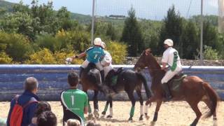 HORSEBALL AMATEUR 01 Mai 2017 Loire sur Rhone  Team Abbaye [upl. by Anidnamra]