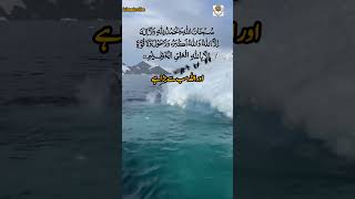 Teesra Kalma Tmajeed  Arabic  Islamic Information islamicvibe shortsfeed utubeshorts shorts [upl. by Gathard]