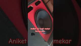 ati pro 1000 watt DJ cabinet box best quality high vibration aniket DJ badi [upl. by Clementis513]