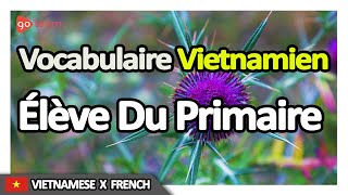 Apprendre le Vietnamien  Vocabulaire Vietnamien Élève du primaire  Golearn [upl. by Sekofski]