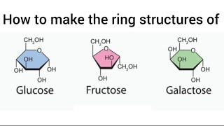 How to make the ring structures of Glucose Fructose and Galactose  Hexoses  Monosaccharides [upl. by Shir]