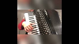 Accordion Nilux Castelfidardo Italy 120 Bass  for sale [upl. by Akiehsal]