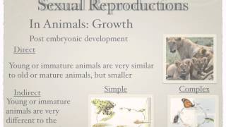 Reproduction animal and plant reproduction [upl. by Ellerahs]