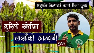 चितवनमा कुरिलो खेती कति सफल 🌾🌱 Kurilo Kheti in Nepal  Suman Subedi  Paurakhi TV [upl. by Kester243]