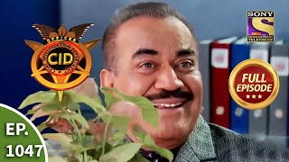 CID  सीआईडी  Ep 1047  Secret Of A Plant  Full Episode [upl. by Stavros896]