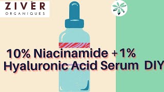 10 Niacinamide Serum with 1 Hyaluronic Acid  DIY  Part 3  How to Start Your Skincare Brand [upl. by Aninad]