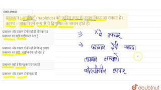 प्रक्कथन  अगुणितों haploids को कृत्रिम रूप से उत्पन्न किया जा सकता है। कारण  आकारिकी रूप से [upl. by Tak]