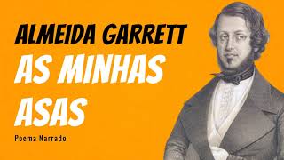 As Minhas Asas  Poema de Almeida Garrett com narração de Mundo Dos Poemas [upl. by Akimat]