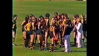 1985 SANFL Grand Final  Glenelg vs North Adelaide [upl. by Berton]