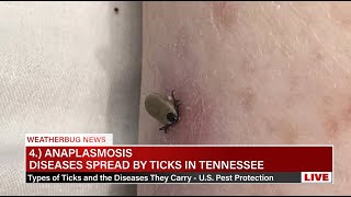 Diseases Spread By Ticks In Tennessee  US Pest Protection [upl. by Beisel]