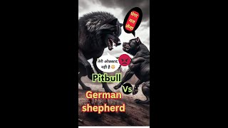 Pitbull vs German shepherd dog real fight pitbullfight pitbull fight attack rottweilerfight [upl. by Dacey288]