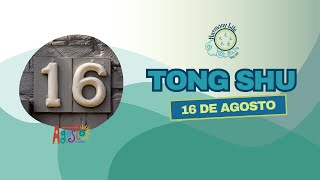 Consejos del Tong Shu 16 de agosto  Rata de Agua Yang [upl. by Naesed609]