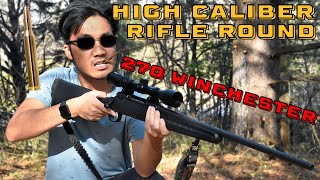 Shooting 270 Winchester High Caliber Rifle Round [upl. by Midan]