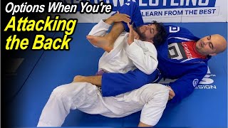 Options When Youre Attacking the Back [upl. by Aicel328]