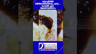 കൊച്ചിയിൽ ബിരിയാണിക്കൊപ്പം പുഴു… ഹോട്ടൽ പൂട്ടി ആരോഗ്യവിഭാഗം  Hotel Kayees  Kochi [upl. by Earla]