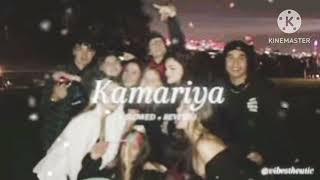 Kamariya SlowedReverb New song [upl. by Brana340]