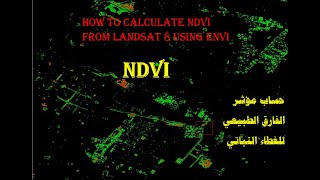 Calculate NDVI from Landsat 8 using ENVI Software [upl. by Chrysler]