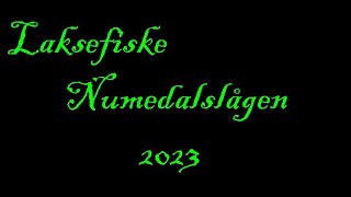 Laksefiske Numedalslågen 2023 [upl. by Ardnekal]