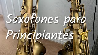 Los Mejores Saxofones para Principiantes 🎷🎷🎷 [upl. by Neenej]