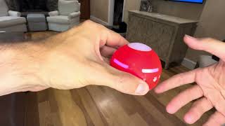 Interactive Dog Toys Dog Ball Review [upl. by Swainson810]