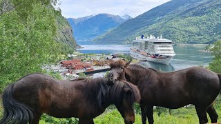 Fretheim Kulturpark Flam Norway Beautiful country park by Flaam Marina PampO Iona Fjords Cruise stop [upl. by Vidovik]