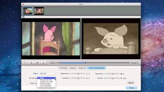 How to Convert and Import DVD to iMovie [upl. by Aljan]