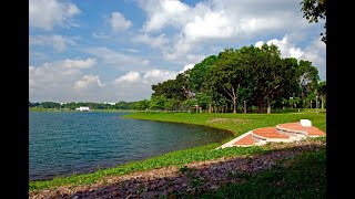 Bedok Reservoir Streetscape Singapore 18 Minutes [upl. by Seiber622]