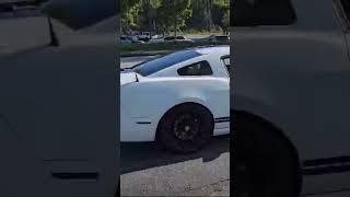 Mustang gt500 Rev automobile car carslover loud gt500 shortsvideo shorts short [upl. by Alik]