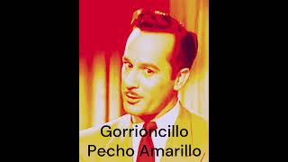 Gorrioncillo Pecho Amarillo Pedro Infante Pedrito de mis Recuerdos shorths musica ranchero [upl. by Killarney]