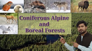 Coniferous Alpine and Boreal Forests  Fsc Biology class 12 [upl. by Eerej651]