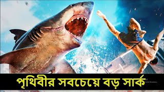 পৃথিবীর সবচেয়ে বড় সার্ক । Worlds Largest Shark । ODVUT 10 । AKASH BARMON । অদ্ভুত ১০ [upl. by Xam]