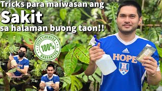 TRICKS PARA MA IWASAN ANG MGA SAKIT SA HALAMAN [upl. by Iviv]