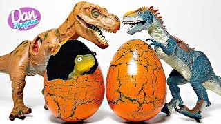 HATCHING NEW DINOSAUR EGGS WITH JURASSIC DINOSAURS [upl. by Caniff]