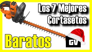 🌿 Los 7 MEJORES Cortasetos BARATOS de Amazon 2024✅CalidadPrecio Eléctricos  A batería  Altura [upl. by Amend]