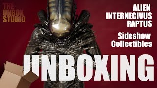 Alien Internecivus Raptus  Sideshow Collectibles  UNBOXING [upl. by Luke309]