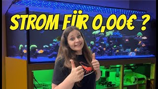 So SENKE ich meine ENERGIEKOSTEN 💸 für mein Meerwasseraquarium  Update Reeftank 1000 Liter Aquarium [upl. by Sucramraj]