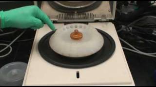 Microfuge amp Centrifuge Operation [upl. by Harrell]